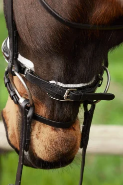 Hot Charlotte Dressage Bridle Crank Noseband Pony Bridles & Halters|Bridles & Nosebands