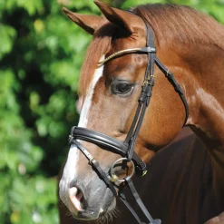 Outlet Clinchesse Bridle Pony Bridles & Halters|Bridles & Nosebands