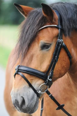Best Clinchesse Bridle Pony Bridles & Halters|Bridles & Nosebands