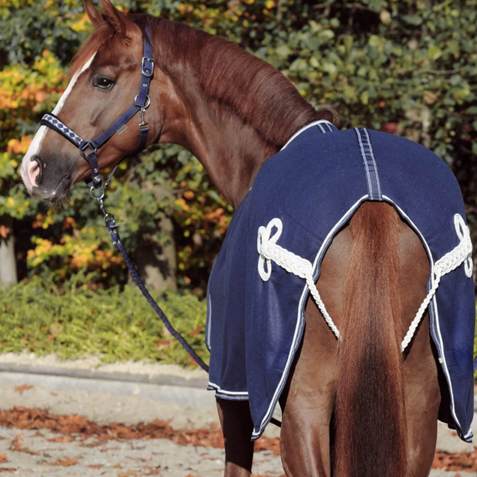 Hot Cooler with Chest Bib Fleece Horse Rugs & Cooler Rugs
