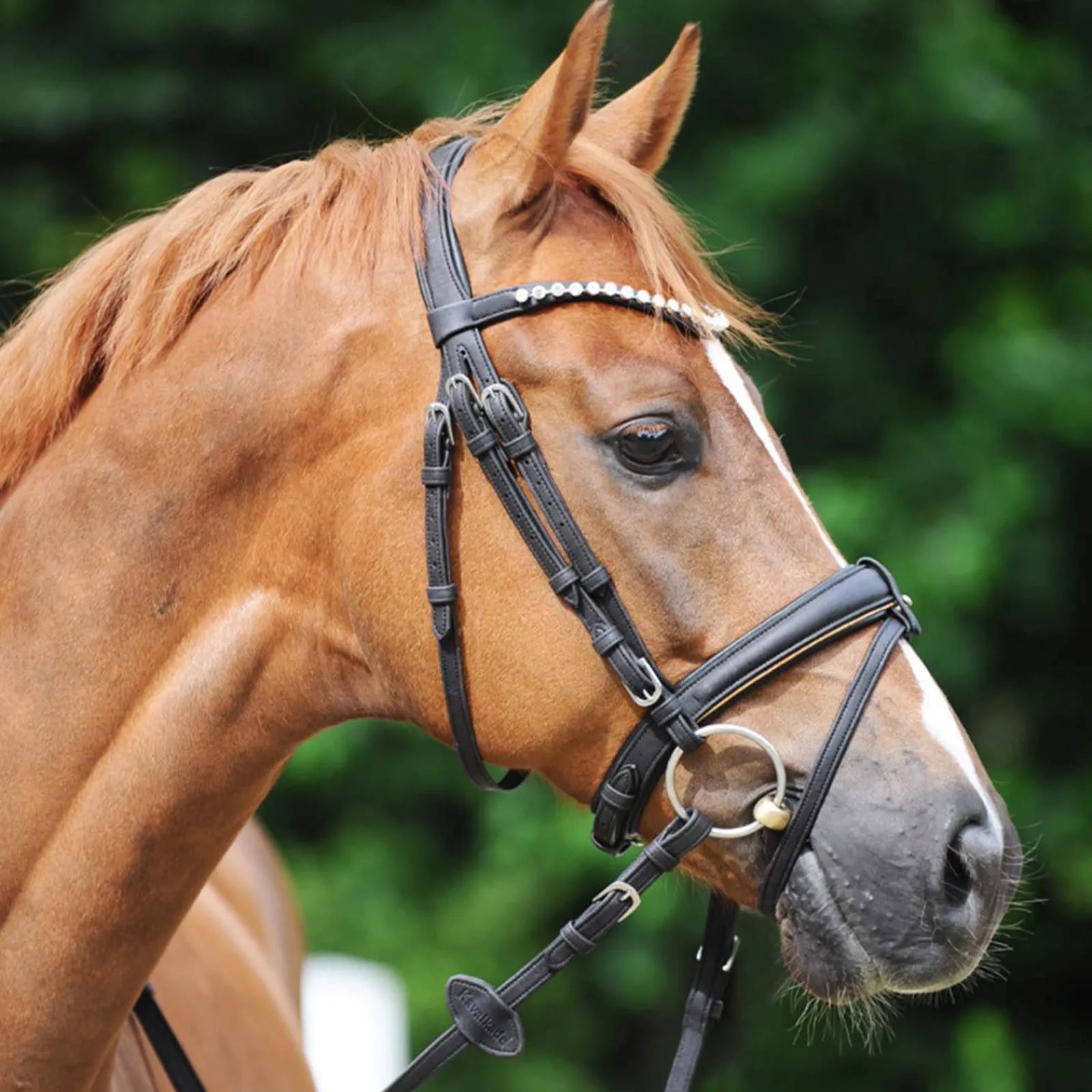 Online Cortica Vegan Cork Reins Reins