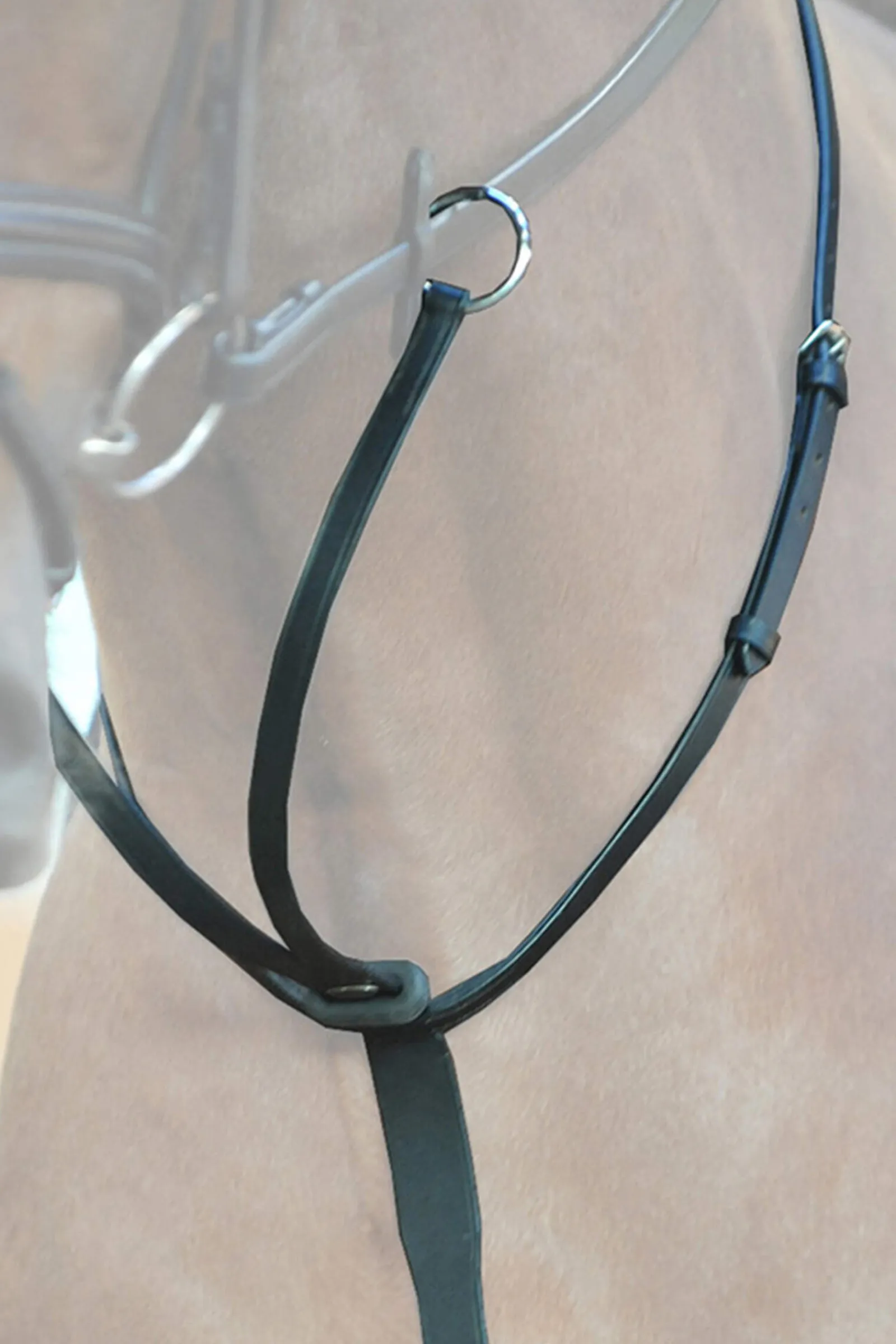 Outlet Ecoline Martingal with Stoppers Auxiliary Reins & Lunging Aids|Auxiliary Reins & Lunging Aids