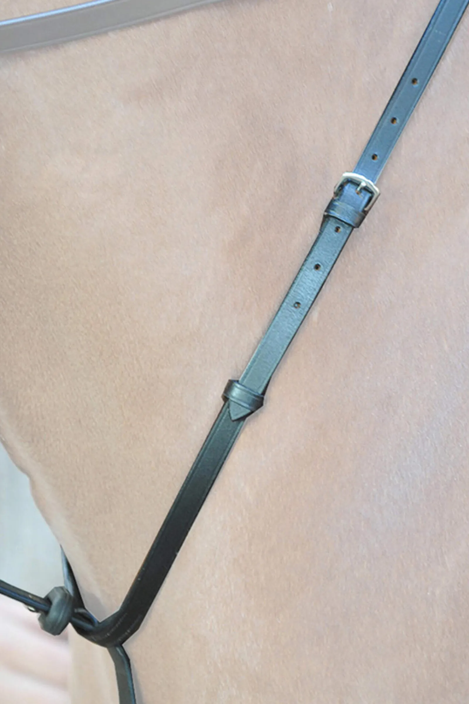 Outlet Ecoline Martingal with Stoppers Auxiliary Reins & Lunging Aids|Auxiliary Reins & Lunging Aids