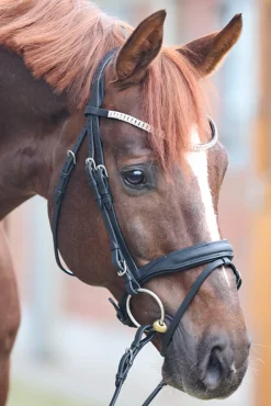 Sale Everness Bridle Pony Bridles & Halters|Bridles & Nosebands
