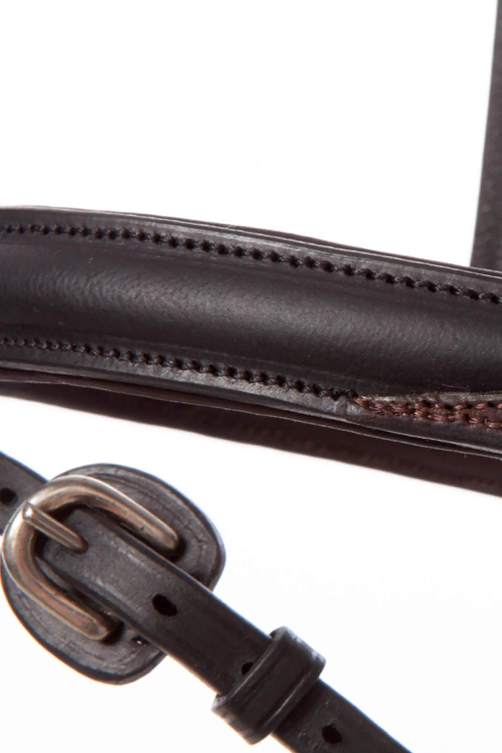 Online EveryDay Bridle Pony Bridles & Halters|Bridles & Nosebands