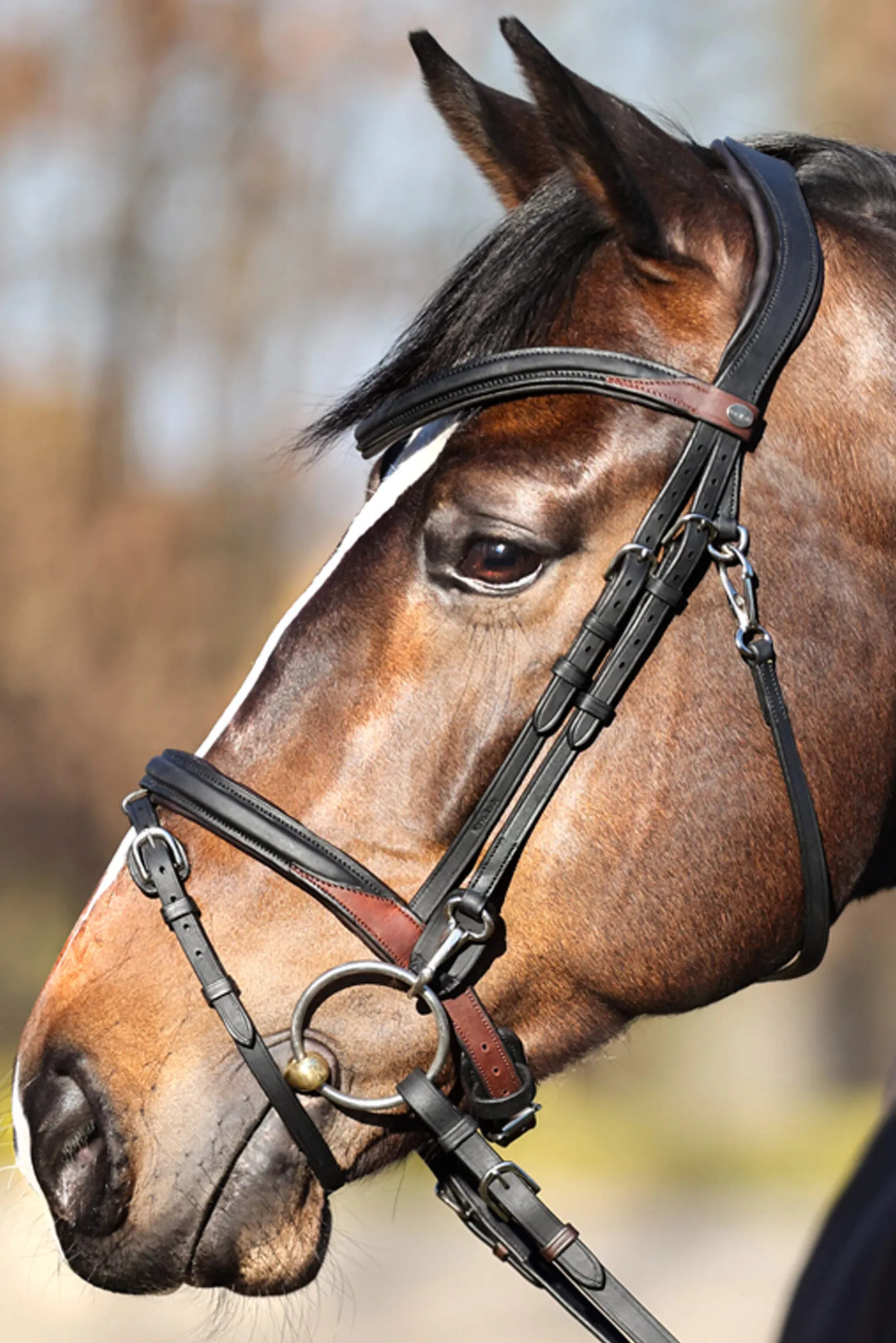 Online EveryDay Bridle Pony Bridles & Halters|Bridles & Nosebands
