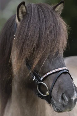 Clearance Ferskja English Noseband for Aradis Icelandic Bridle Bridles & Nosebands