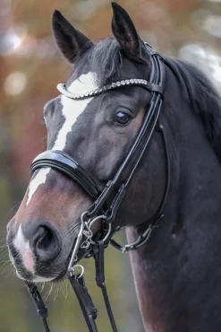 Clearance Fleur Double Bridle Bridles & Nosebands