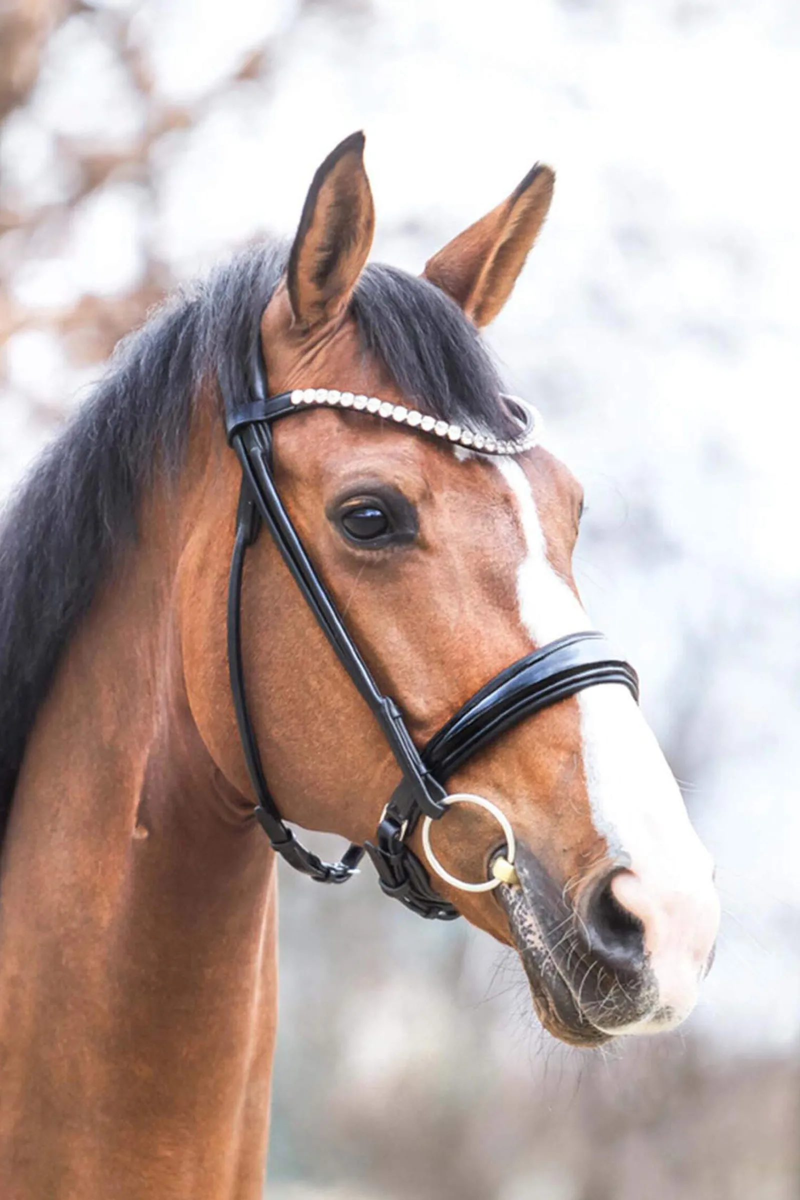 Hot Florina KavalSH4 Bridle Pony Bridles & Halters|Bridles & Nosebands