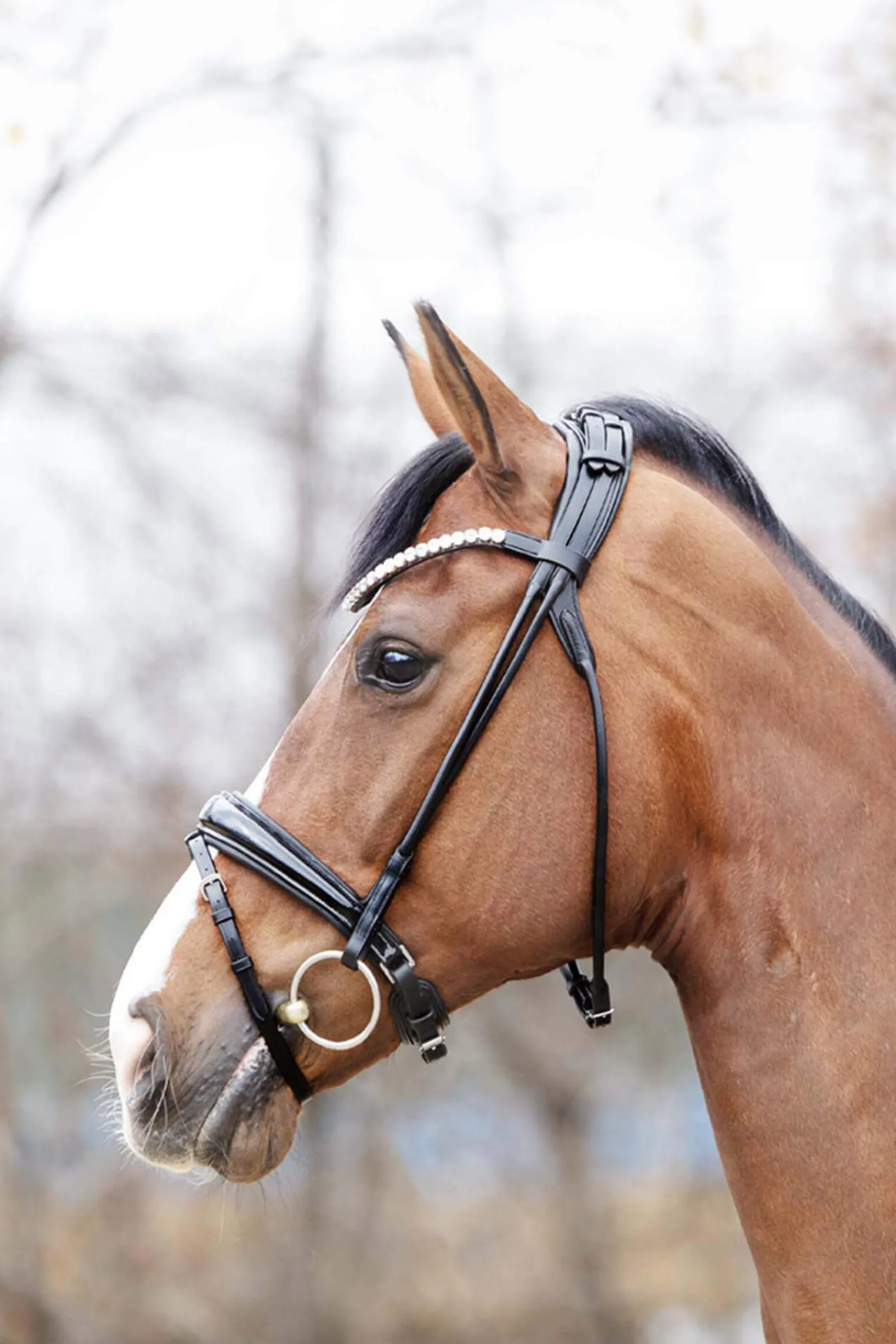 Hot Florina KavalSH4 Bridle Pony Bridles & Halters|Bridles & Nosebands