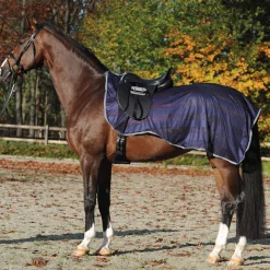 Online Fly Exercise Sheet Exercise Sheets & Quarter Sheets