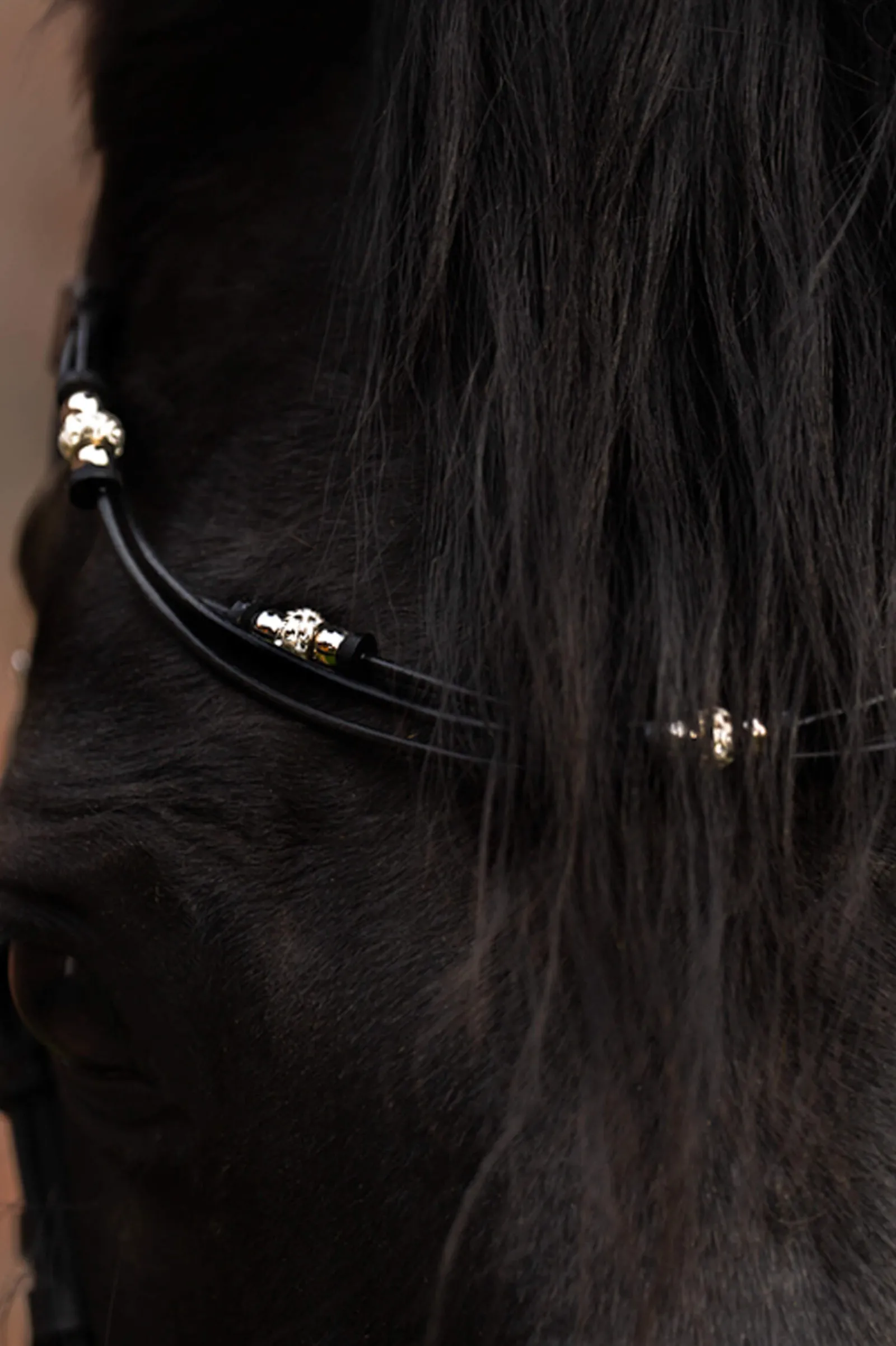 Sale Grace Browband Browbands