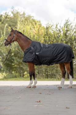 Outlet Halifax 2in1 Turnout and Walker Rug 50g Lightweight Turnout Rugs