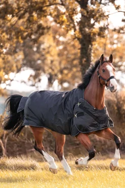 Outlet Halifax 2in1 Turnout and Walker Rug 50g Lightweight Turnout Rugs