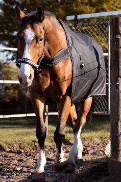 Outlet Halifax 2in1 Turnout and Walker Rug 50g Lightweight Turnout Rugs