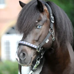 Best Iceland Classic Halter Headcollars & Halters
