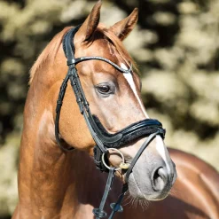 New Ivella KavalSH4 Bridle Pony Bridles & Halters|Bridles & Nosebands