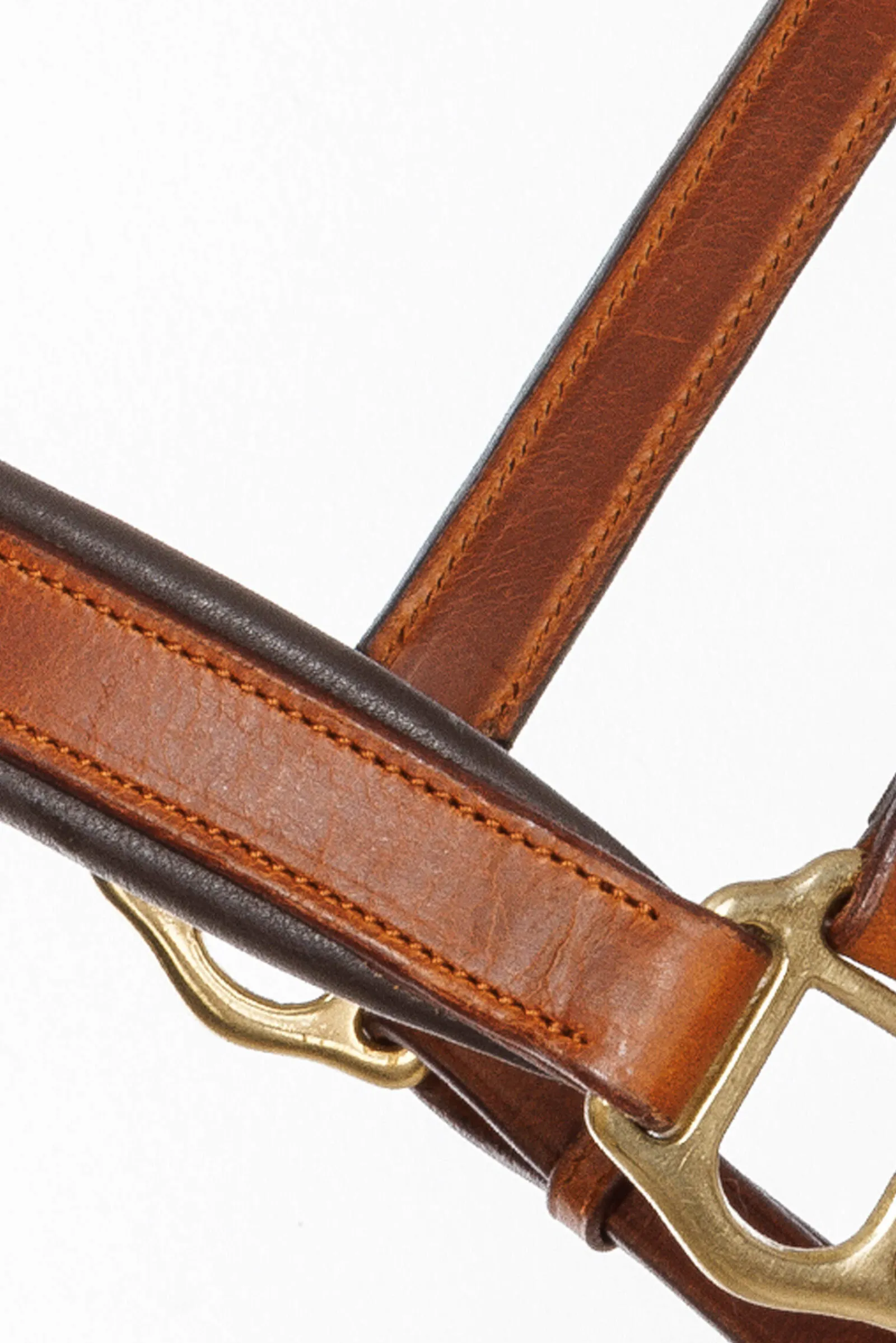 New Leather halter Cinta Leather Headcollars