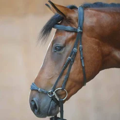 Hot Levana Bridle Bridles & Nosebands