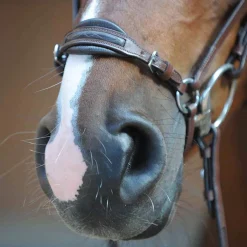 Hot Levana Bridle Bridles & Nosebands