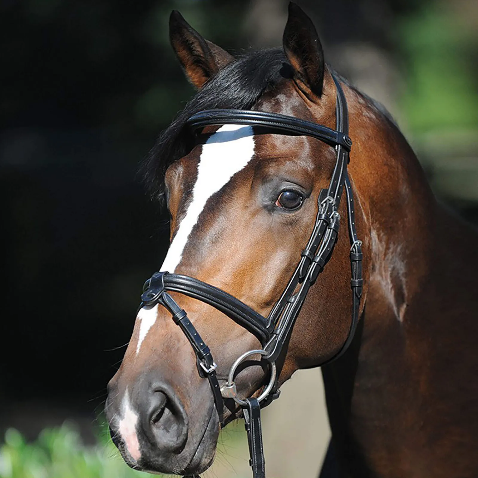 New Lorenz Bridle Pony Bridles & Halters|Bridles & Nosebands