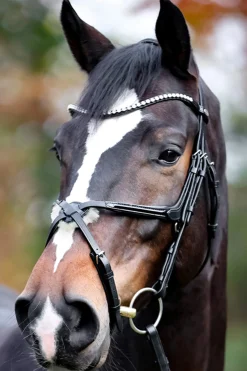 New Lucia Mexican Bridle Bridles & Nosebands
