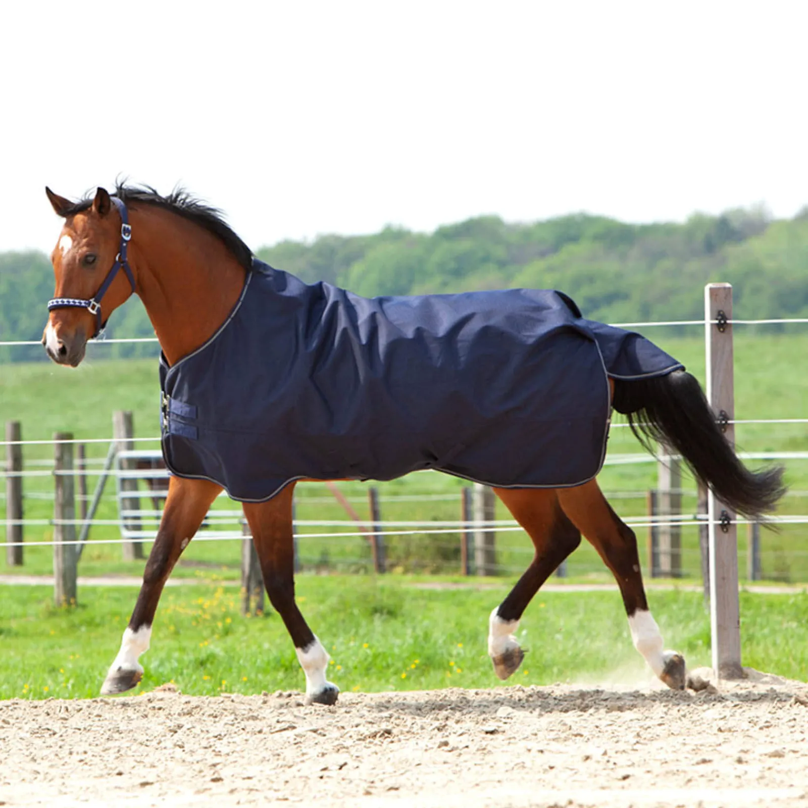 New Montreal Turnout Rug, 200g Medium & Heavyweight Turnout Rugs