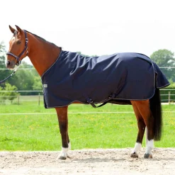 New Montreal Turnout Rug, 200g Medium & Heavyweight Turnout Rugs