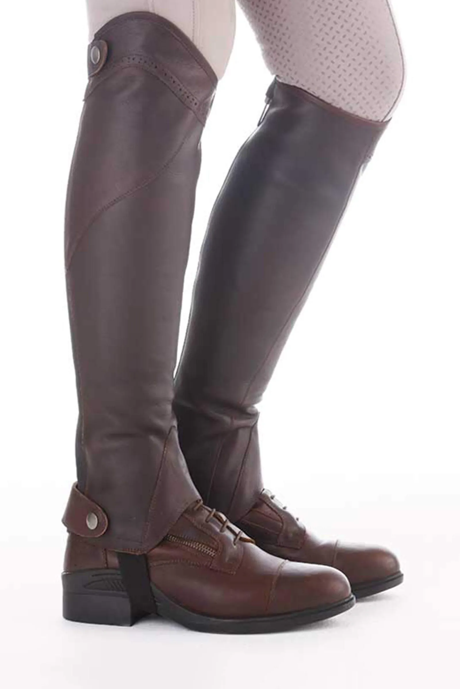 Online Oiled Leather Half Chaps Remus Half Chaps