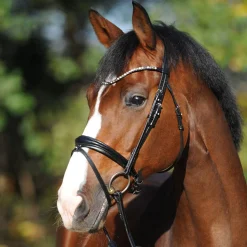 Fashion Reyna KavalSH4 Bridle Pony Bridles & Halters|Bridles & Nosebands