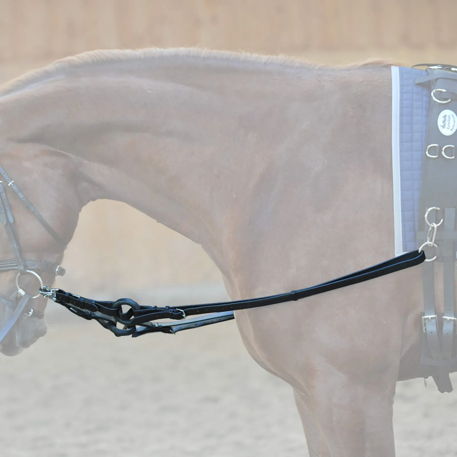 Online Side reins Auxiliary Reins & Lunging Aids|Auxiliary Reins & Lunging Aids