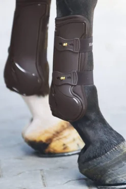 Best Tendon Boots Compete Horse Boots