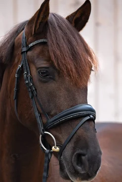 Discount Victoria Bridle Pony Bridles & Halters|Bridles & Nosebands