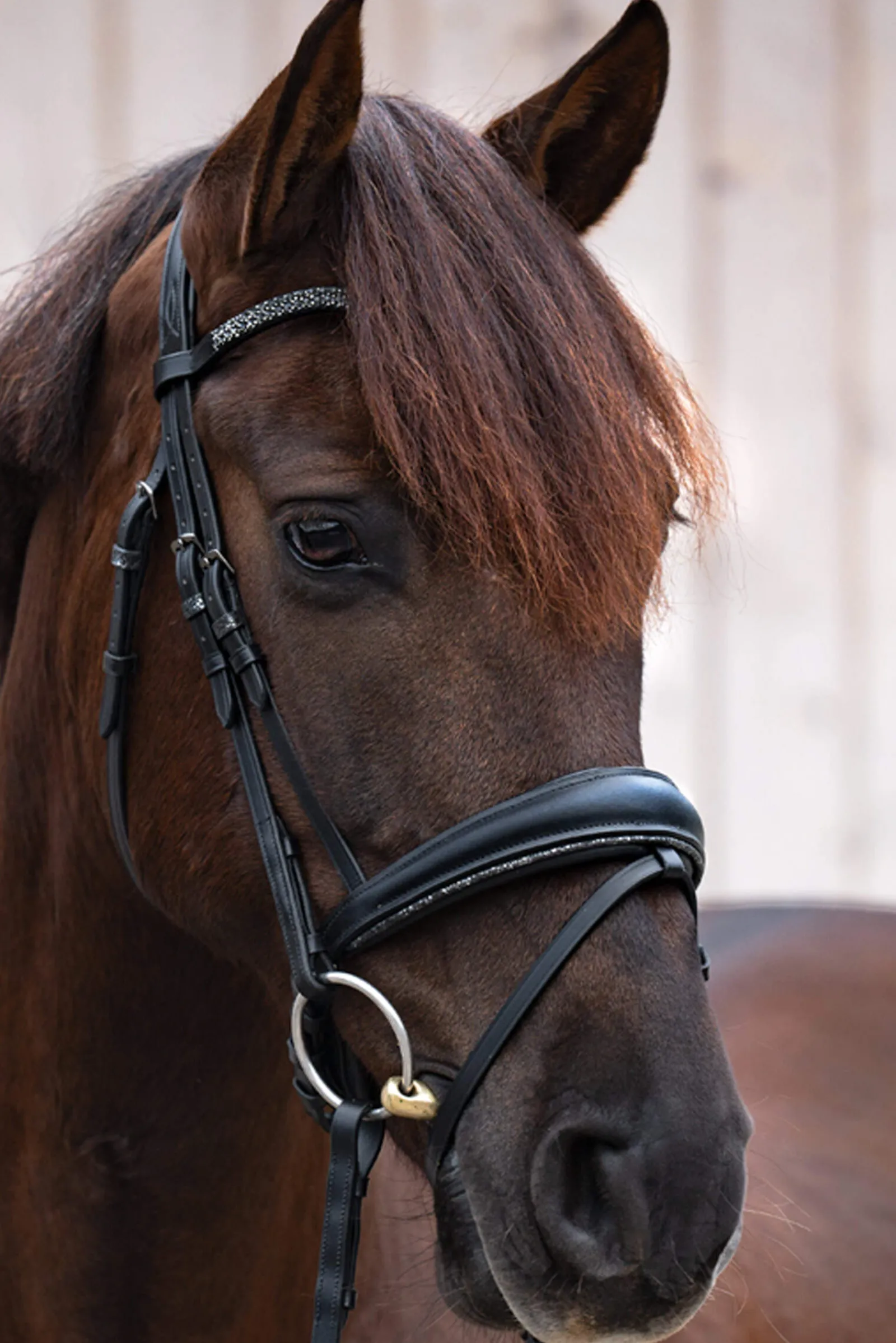 Discount Victoria Bridle Pony Bridles & Halters|Bridles & Nosebands