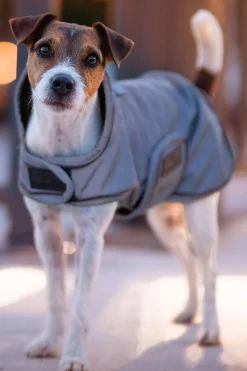 Discount Kentucky Dogwear Dog Coat Reflective & Water Repellent Dog Rugs & Coats