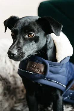 Discount Kentucky Dogwear Dog Coat Pearls Dog Rugs & Coats
