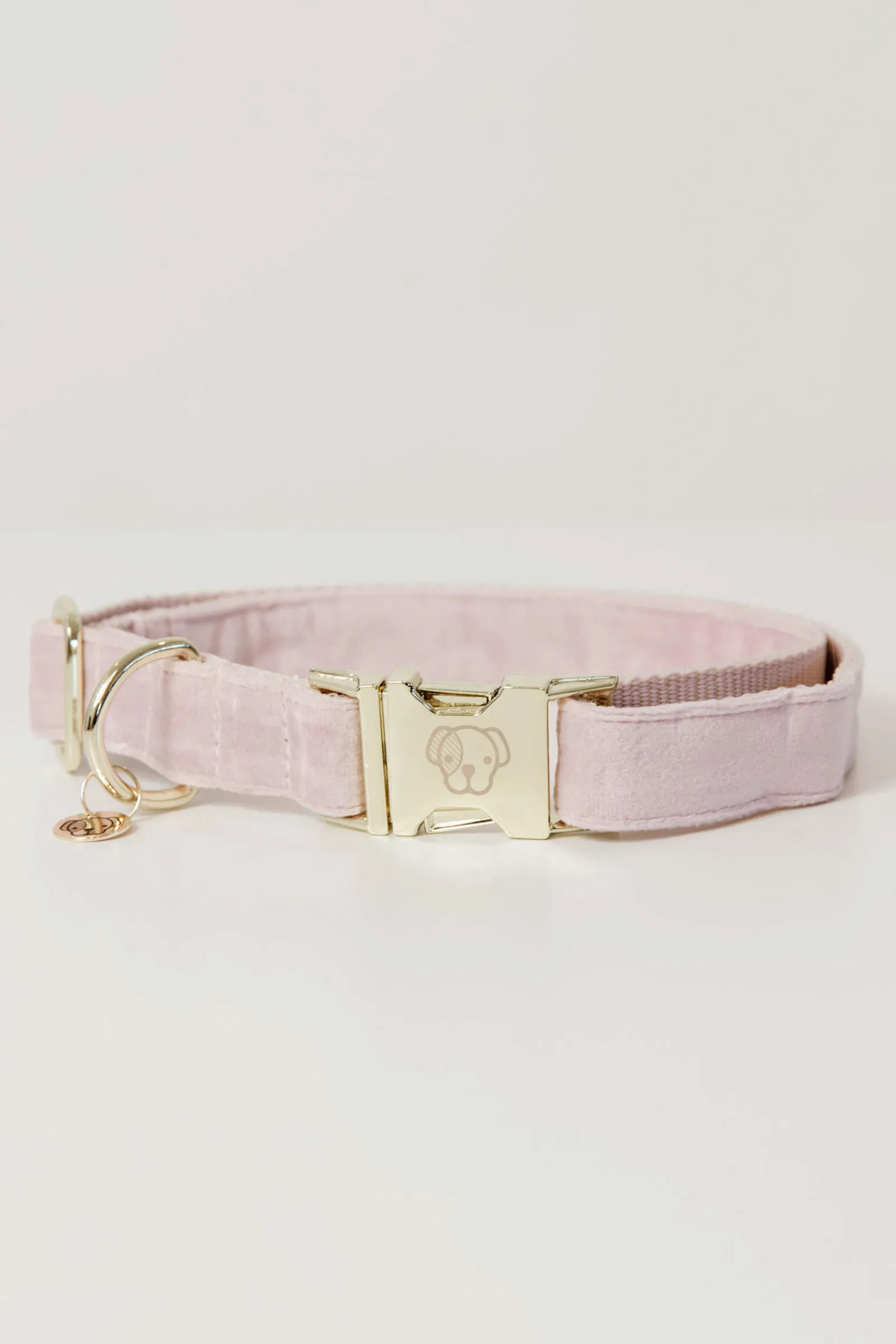 Hot Kentucky Dogwear Dog Collar Velvet Dog Collars