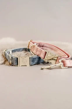 Hot Kentucky Dogwear Dog Collar Velvet Dog Collars