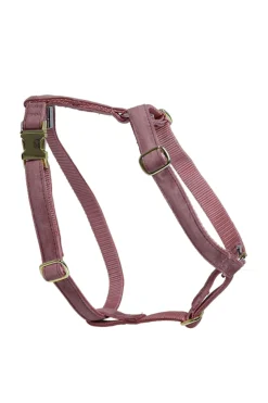 Outlet Kentucky Dogwear Loop Velvet Dog Harness Dog Collars