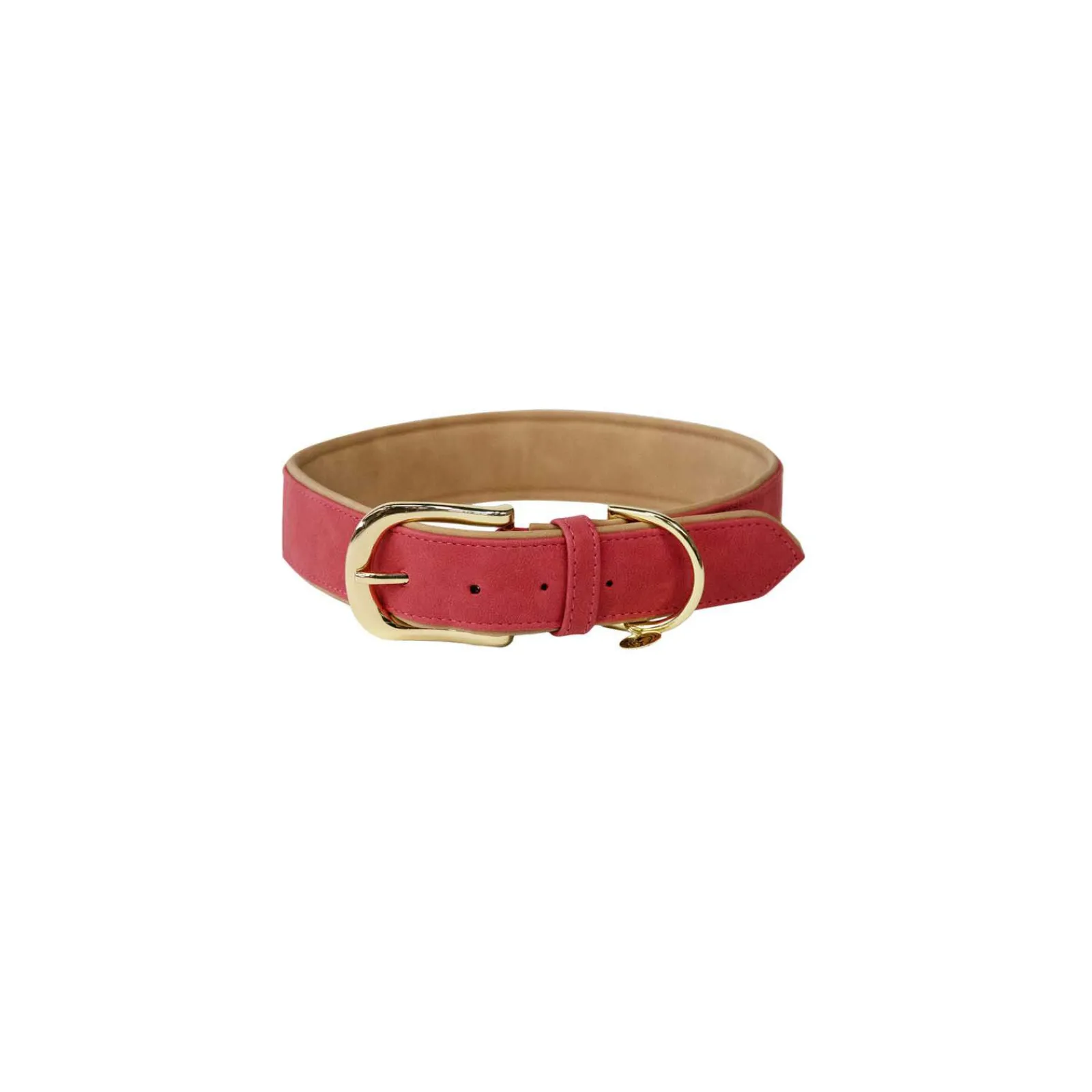 Online Kentucky Dogwear Soft Vegan Leather Collar Dog Collars