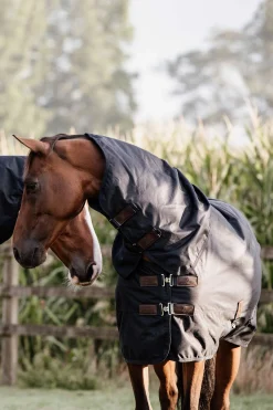 Online Horsewear All Weather Waterproof Classic Turnout Rug, 0g Lightweight Turnout Rugs