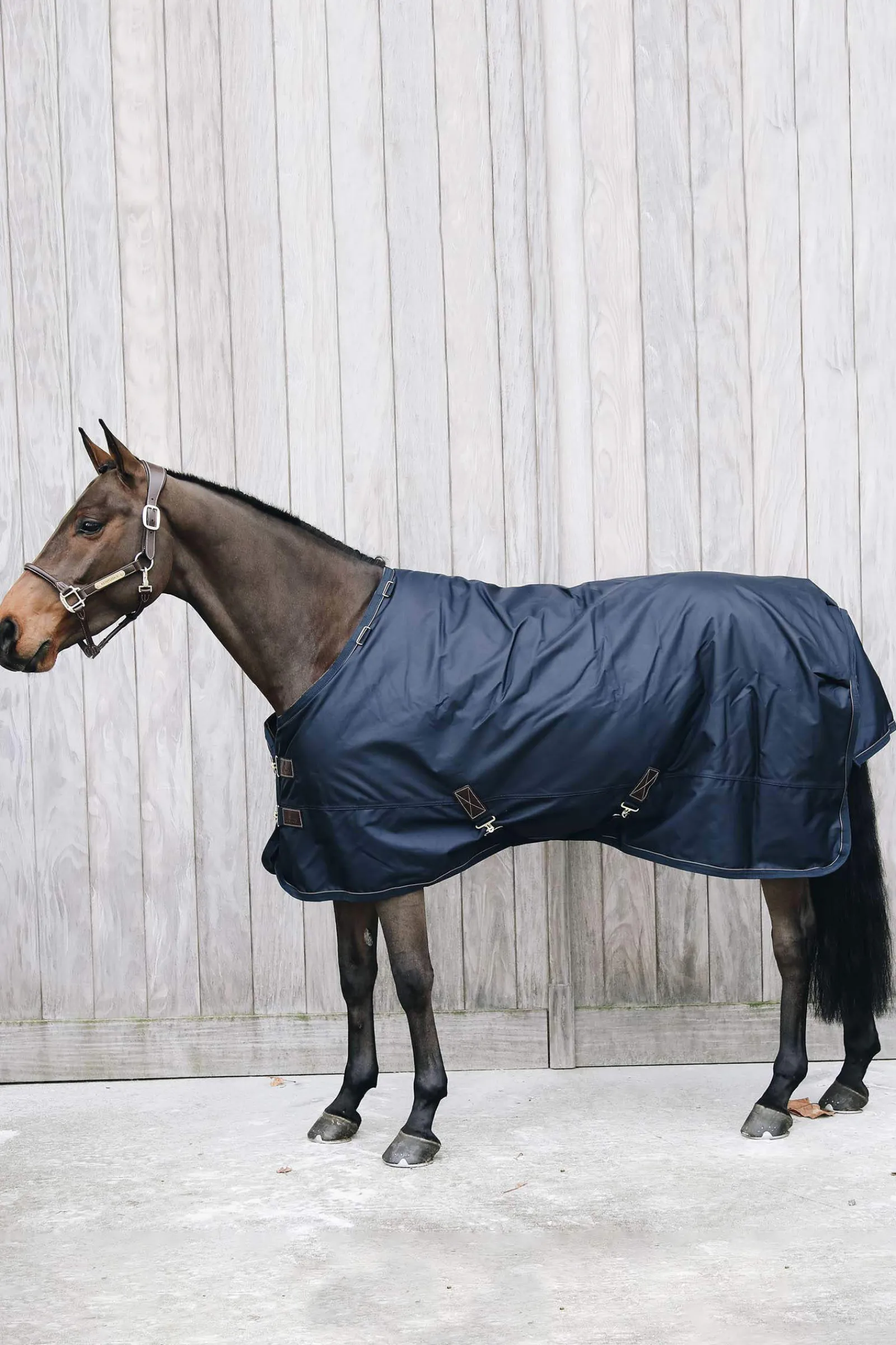 Outlet Horsewear All Weather Waterproof Pro Turnout, 0g Lightweight Turnout Rugs