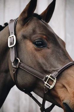Discount Horsewear Anatomic Leather Halter Leather Headcollars