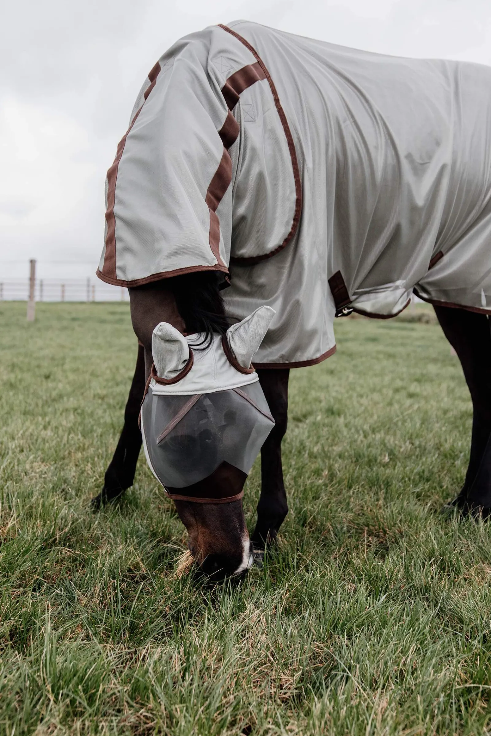 Online Horsewear Classic Mesh Fly Rug Fly Rugs|Fly Rugs