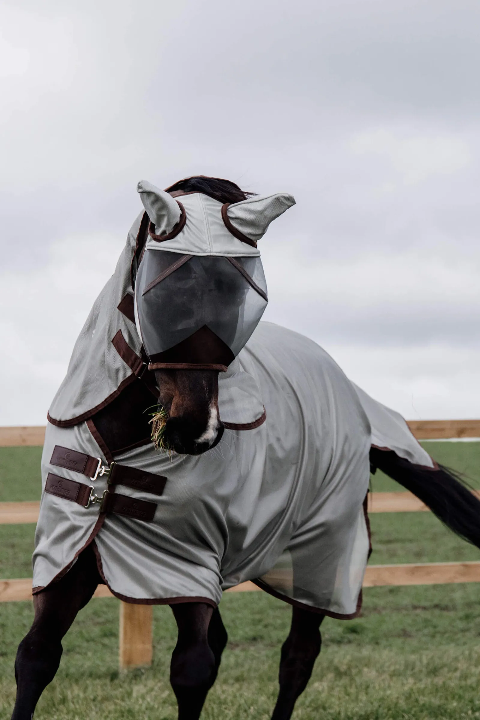 Online Horsewear Classic Mesh Fly Rug Fly Rugs|Fly Rugs