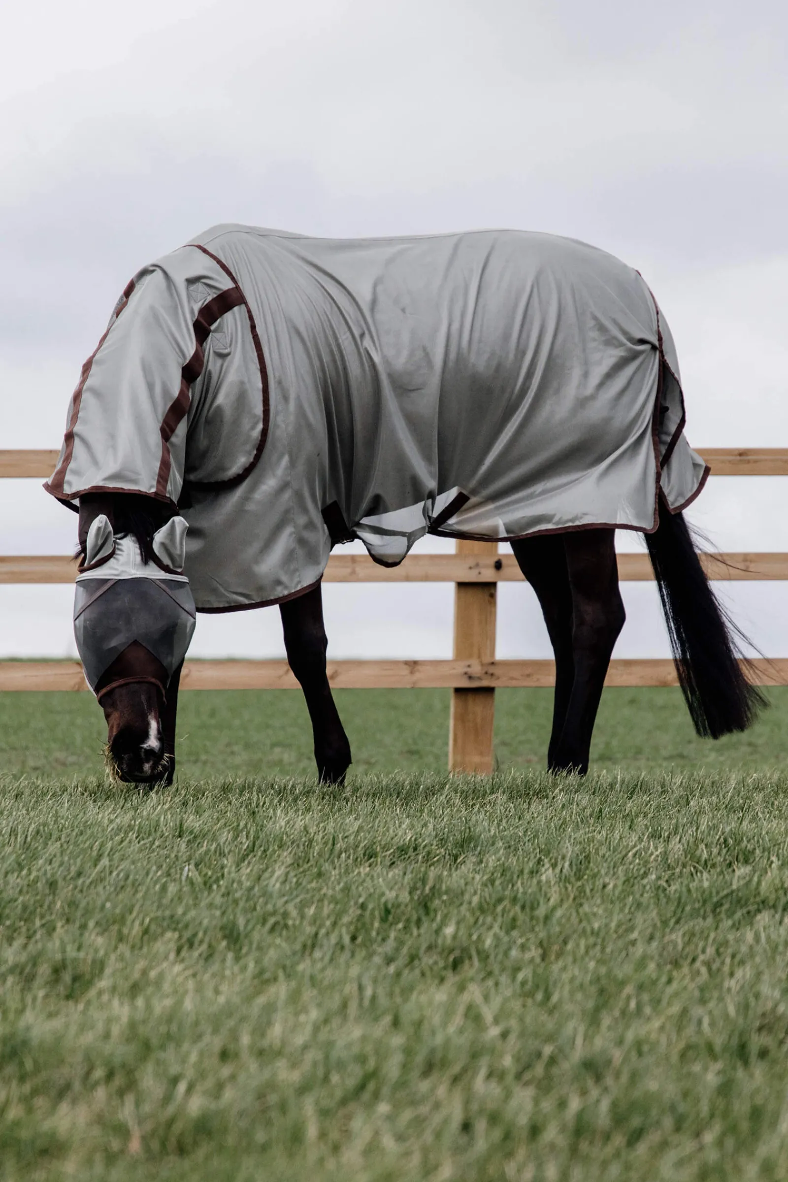 Online Horsewear Classic Mesh Fly Rug Fly Rugs|Fly Rugs