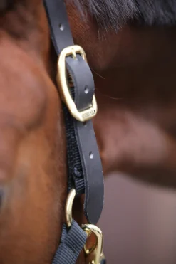 Discount Horsewear Control Halter Headcollars & Halters