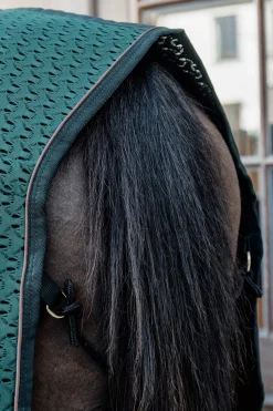 Discount Horsewear 4D Spacer Cooler Fleece Horse Rugs & Cooler Rugs