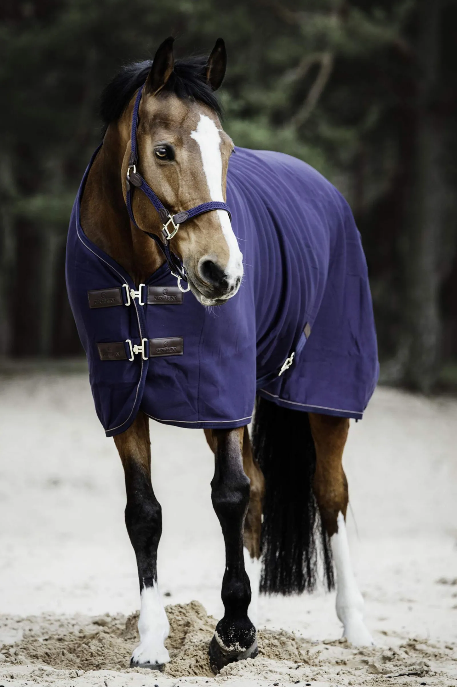 Discount Horsewear Fleece Cooler Fleece Horse Rugs & Cooler Rugs