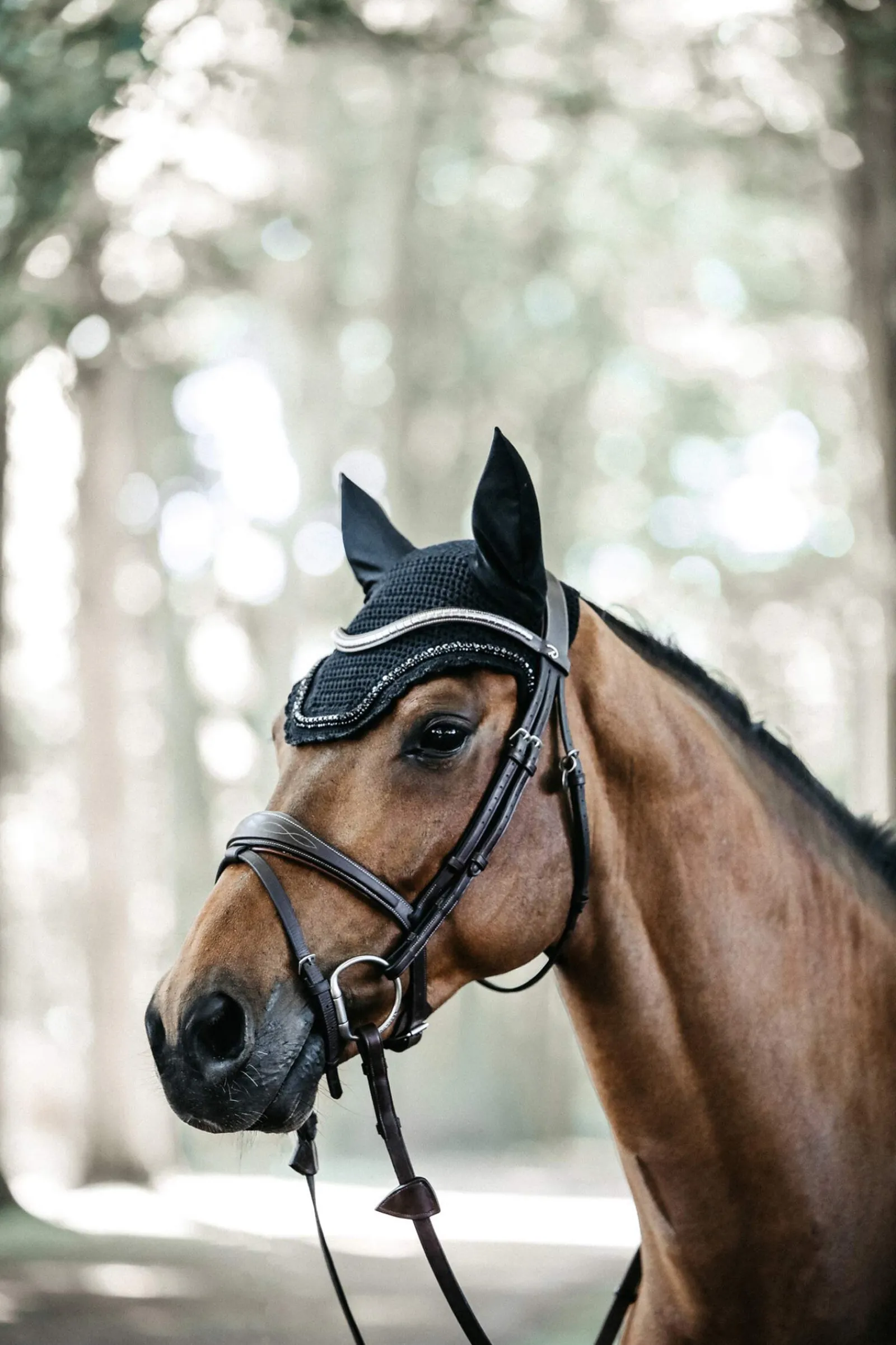Fashion Horsewear Fly Veil Wellington Stone & Pearl Ear Bonnets & Fly Veils|Ear Bonnets & Fly Veils
